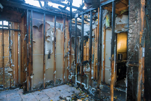 Professional Fire Damage Removal technician working in Herscher, IL